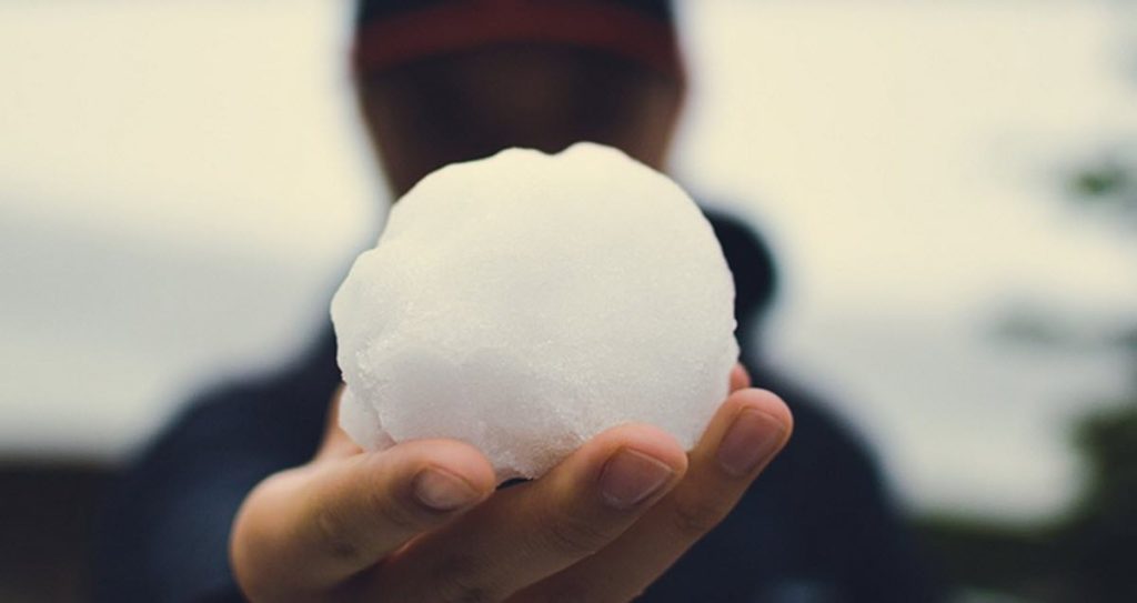 snöboll